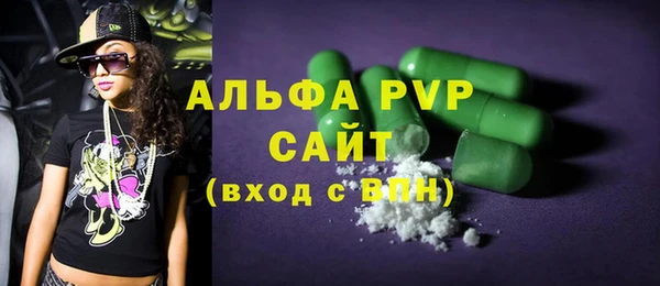 молекула духа Тайга