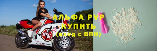 мяу мяу мука Иннополис