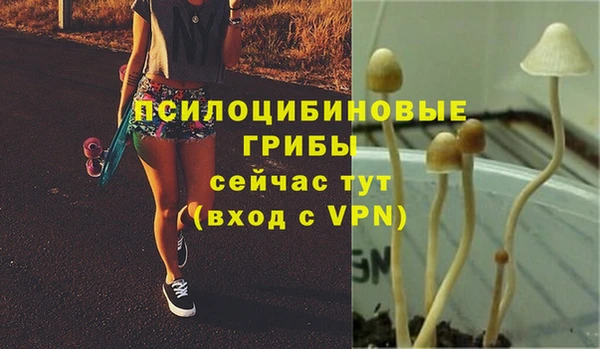 соль ск Инта