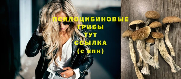 соль ск Инта
