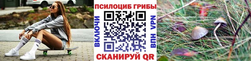 Псилоцибиновые грибы GOLDEN TEACHER  дарнет шоп  Славянск-на-Кубани 